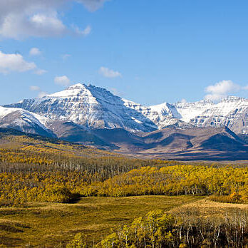 The Southern Alberta prairie and foothills of the Rocky Mountains.